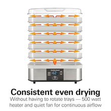 Digital Food Dehydrator for Fruit, Jerky & Vegetables