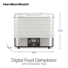 Digital Food Dehydrator for Fruit, Jerky & Vegetables