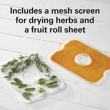 Digital Food Dehydrator for Fruit, Jerky & Vegetables
