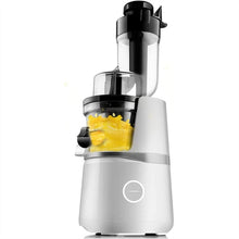 Cold Press Slow Juicer with Reverse Function for Fruits & Vegetables