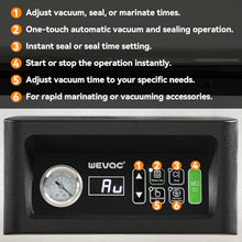 12-Inch Chamber Vacuum Sealer with Auto Vacuum Sensing