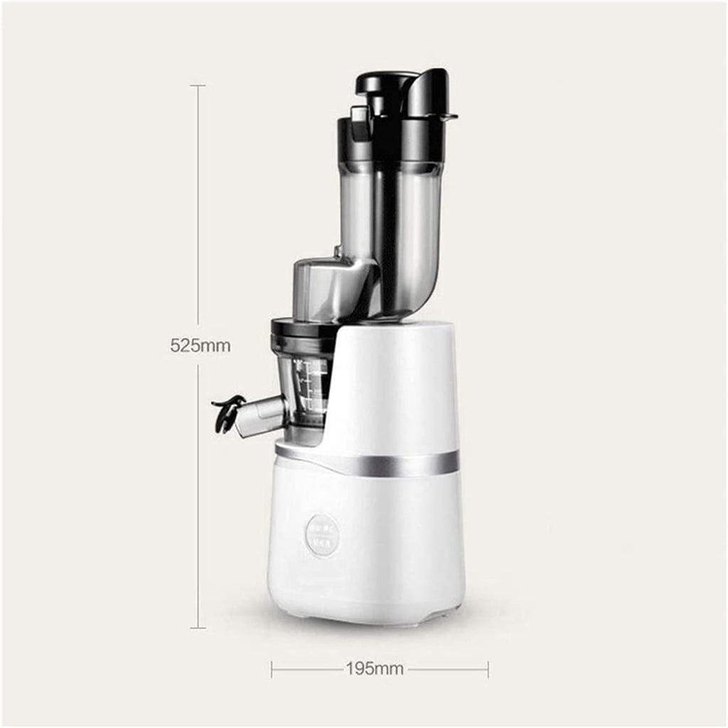 Cold Press Slow Juicer with Reverse Function for Fruits & Vegetables