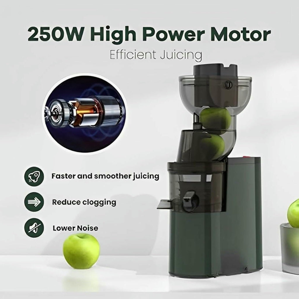 250W Slow Masticating Juicer with 3.5-Inch Wide Feed Chute