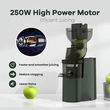 250W Slow Masticating Juicer with 3.5-Inch Wide Feed Chute