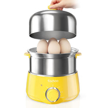 2-Tier Stainless Steel Egg Cooker & Vegetable Steamer with Timer