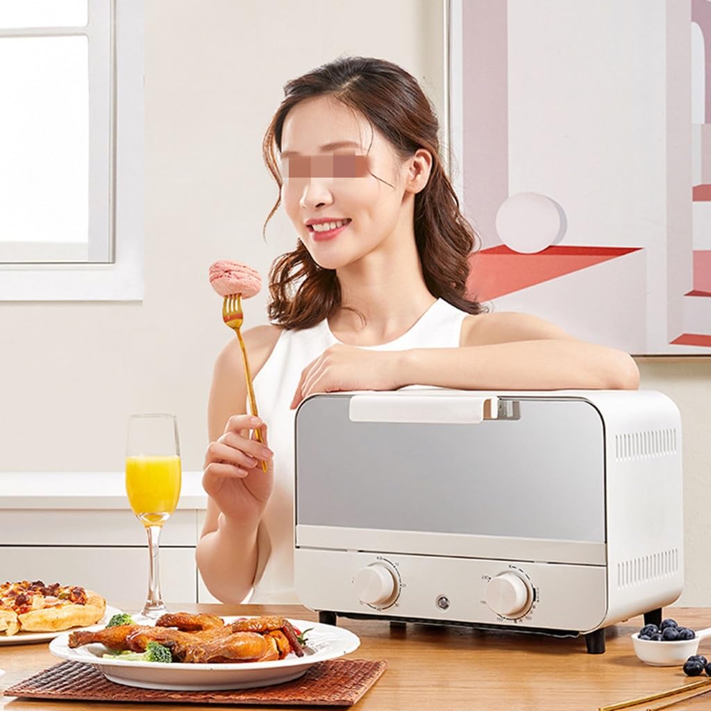 Multifunction Mini Steam & Bake Electric Oven