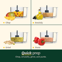 24oz Mini Food Processor with Reversible Stainless Steel Blade