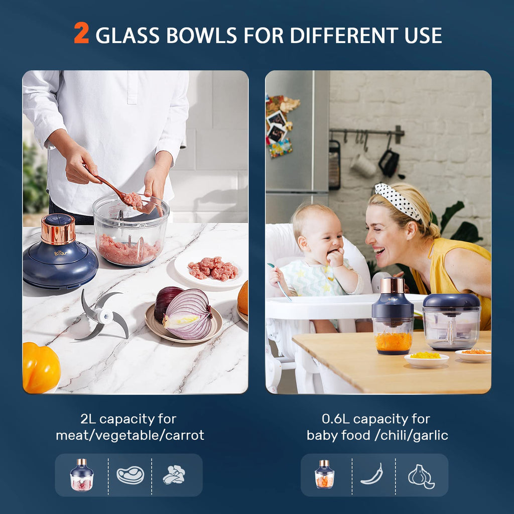 400W Electric Food Chopper with 2 Glass Bowls & 2 Speeds