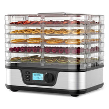 Food Dehydrator with 5 Stainless Steel Trays & 72-Hour Timer