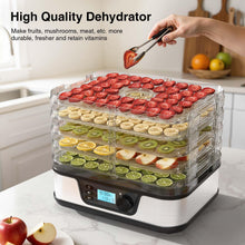Food Dehydrator with 5 Stainless Steel Trays & 72-Hour Timer