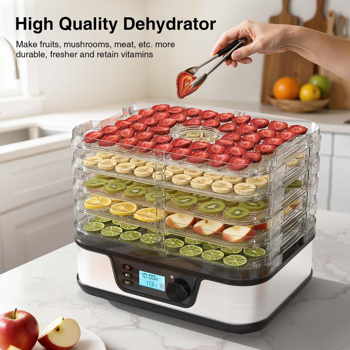Food Dehydrator with 5 Stainless Steel Trays & 72-Hour Timer