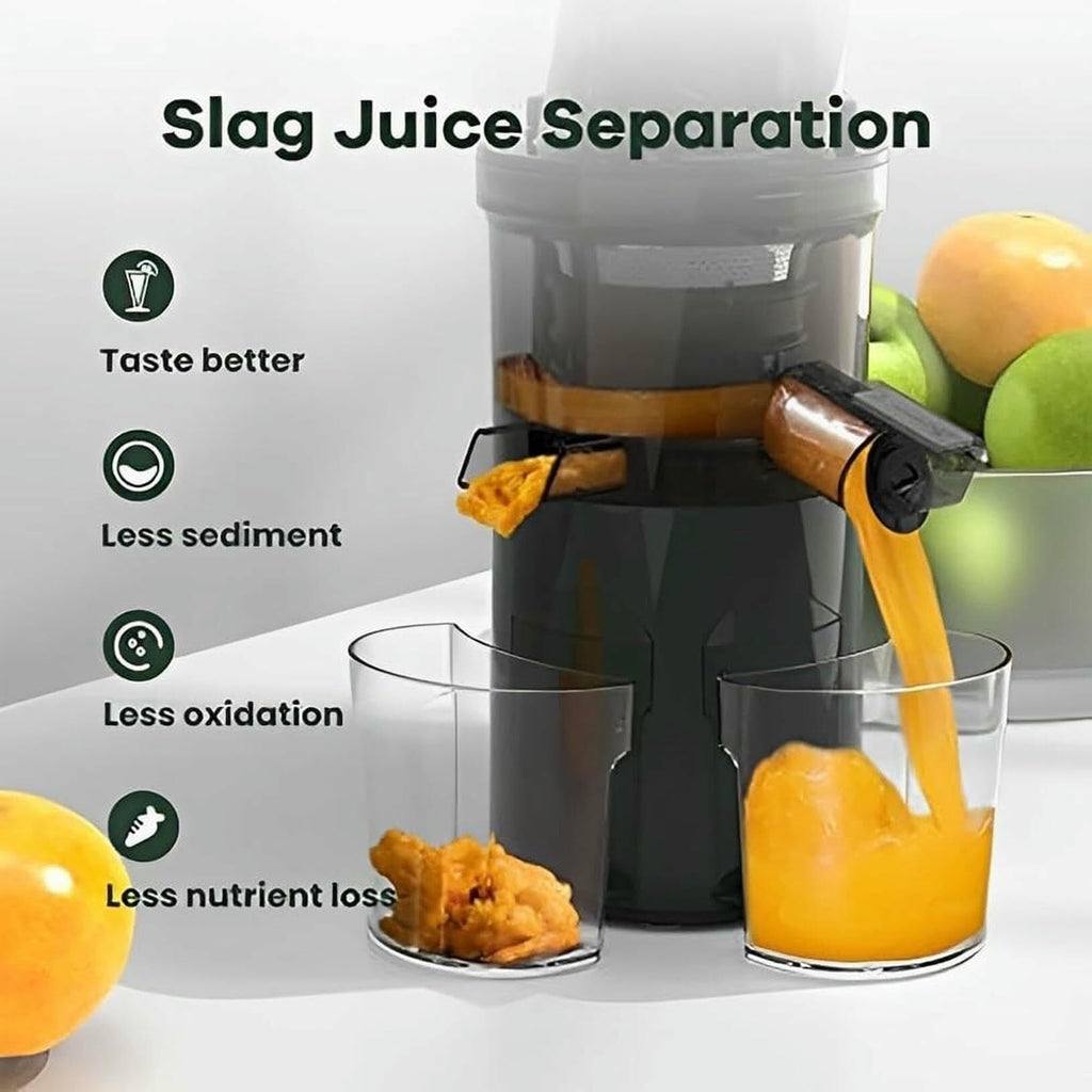 250W Slow Masticating Juicer with 3.5-Inch Wide Feed Chute