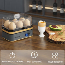 Evoloop Rapid Egg Cooker Electric 12 Eggs Capacity