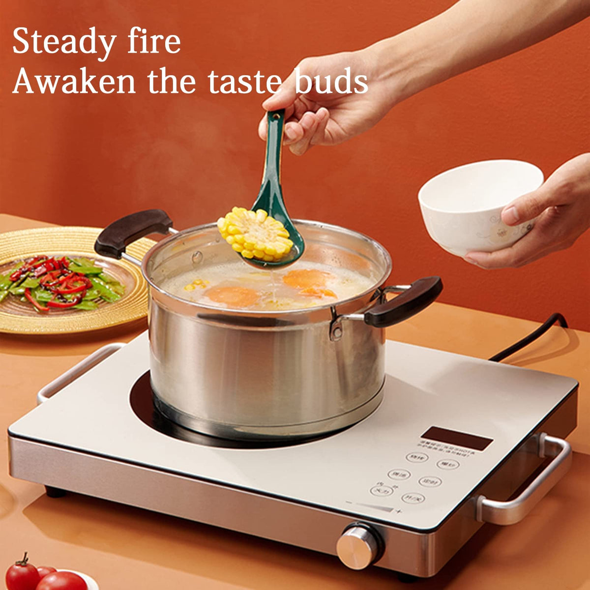 2250W Portable Induction Cooktop with Multi-Level Power Control