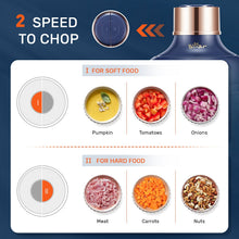 400W Electric Food Chopper with 2 Glass Bowls & 2 Speeds