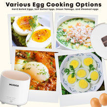 Mini Electric Egg Cooker with Auto Shut-Off & Alarm