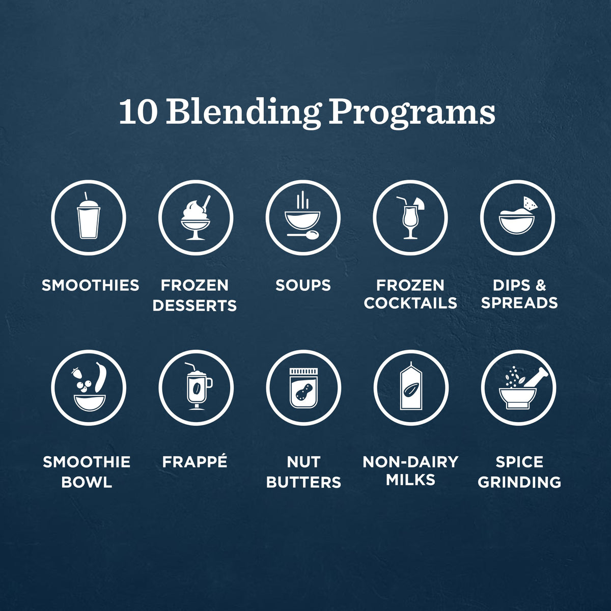 Professional Blender with 10 Preset Programs & 48oz Container