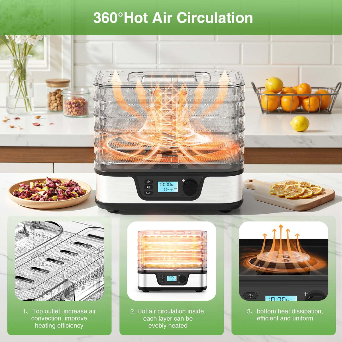Food Dehydrator with 5 Stainless Steel Trays & 72-Hour Timer