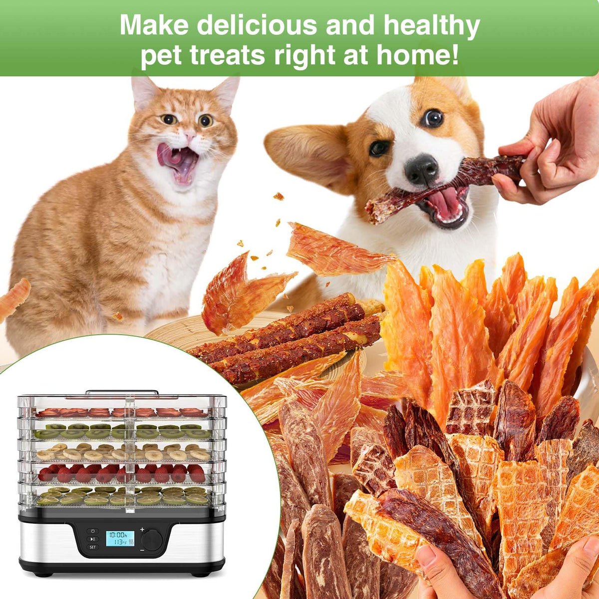 Food Dehydrator with 5 Stainless Steel Trays & 72-Hour Timer